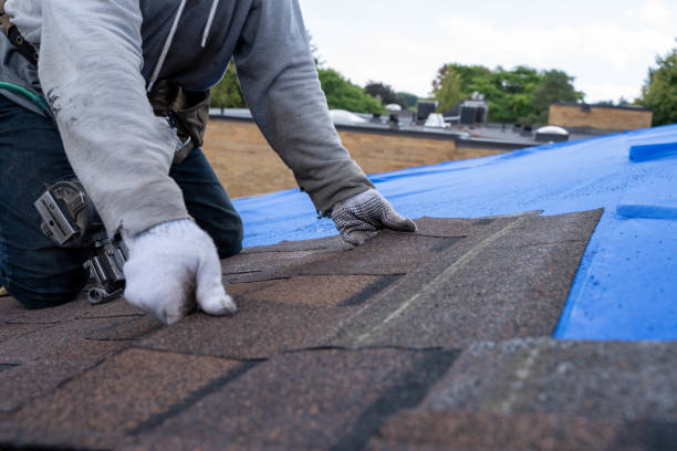 Best Residential Roofing Contractor  in Kentland, IN